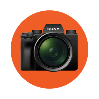 Logo for Photography Pro