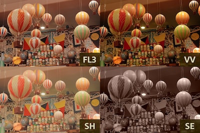 四張分別展示創意風格預設的示例圖片，包括 FL3（左上）、VV（右上）、SH（左下）和 SE（右下）